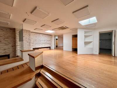 Gewerbeobjekt mieten in 2700 Wiener Neustadt (Bild 5)