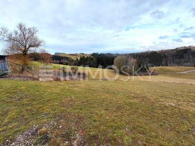 Bauernhaus kaufen in 4730 Waizenkirchen (Bild 3)