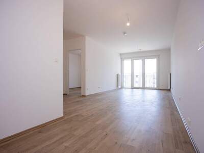 Wohnung kaufen in 2700 Wiener Neustadt