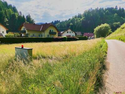 Grundstück kaufen in 9433 Schönweg (Bild 4)