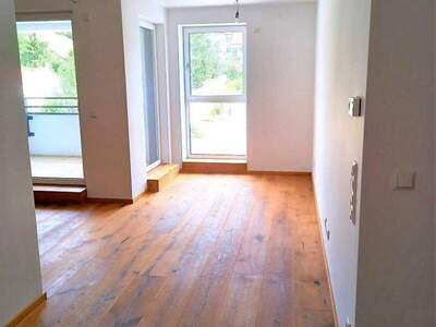 Mietwohnung in 2020 Hollabrunn