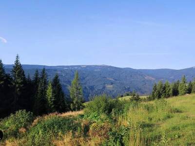 Grundstück kaufen in 8742 Obdach