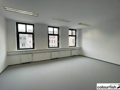 Gewerbeobjekt mieten in 1040 Wien (Bild 4)