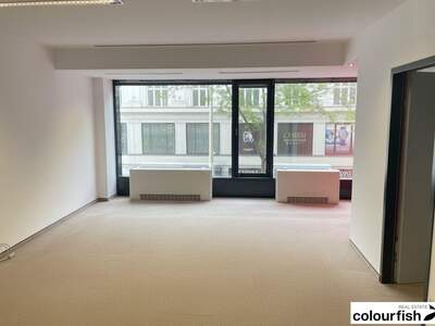 Gewerbeobjekt mieten in 1070 Wien (Bild 2)