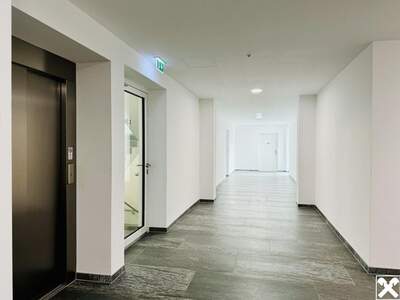 Anlageobjekt kaufen in 2700 Wiener Neustadt (Bild 5)