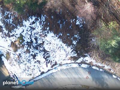 Grundstück kaufen in 6143 Schönberg (Bild 4)