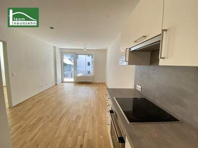 Terrassenwohnung mieten in 1210 Wien (Bild 1)