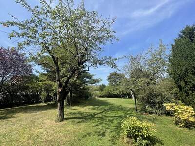 Grundstück kaufen in 2721 Bad Fischau