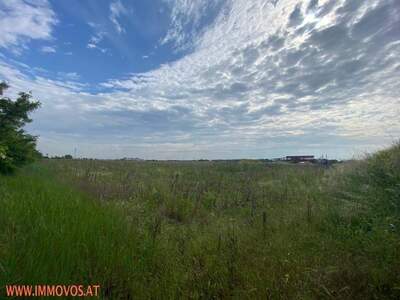 Grundstück kaufen in 2201 Hagenbrunn