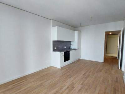 Terrassenwohnung mieten in 1220 Wien (Bild 2)