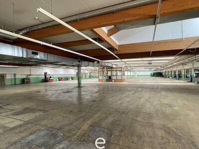 Gewerbeobjekt mieten in 4881 Straß (Bild 2)