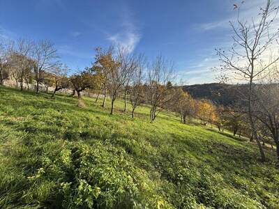 Grundstück kaufen in 8362 Ruppersdorf (Bild 4)