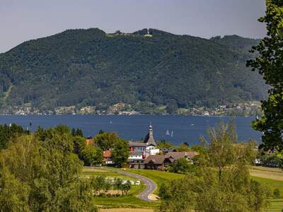 Grundstück kaufen in 4881 Straß (Bild 4)