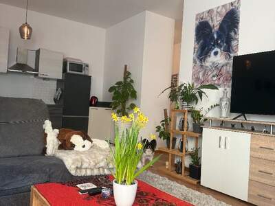 Wohnung kaufen in 6405 Pfaffenhofen (Bild 4)