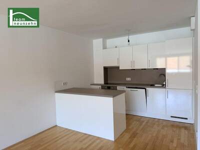 Terrassenwohnung mieten in 1100 Wien (Bild 1)