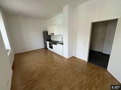 Wohnung mieten in 8700 Leoben (Bild 1)