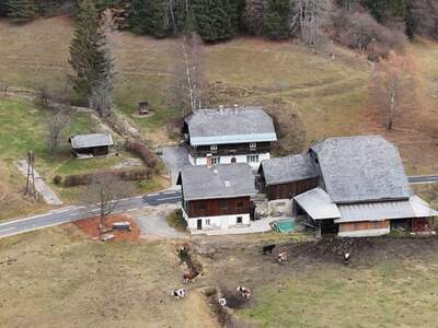 Gewerbeobjekt kaufen in 9543 Arriach (Bild 2)