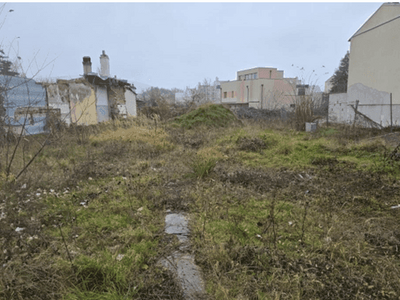 Grundstück kaufen in 2512 Tribuswinkel