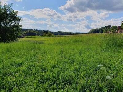 Grundstück kaufen in 8221 Hirnsdorf