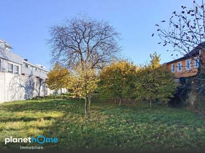 Grundstück kaufen in 2432 Schwadorf (Bild 2)