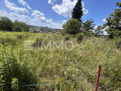 Grundstück kaufen in 4311 Schwertberg (Bild 1)