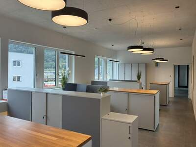 Gewerbeobjekt mieten in 6060 Hall (Bild 5)