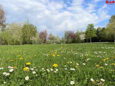 Eigentumswohnung in 4020 Linz