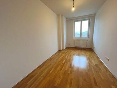 Terrassenwohnung mieten in 2232 Deutsch (Bild 3)