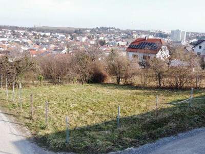 Grundstück kaufen in 7210 Mattersburg (Bild 1)