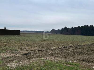 Grundstück kaufen in 8424 Gabersdorf