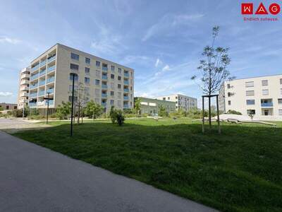 Terrassenwohnung mieten in 1220 Wien (Bild 1)