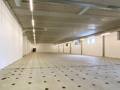 Gewerbeobjekt mieten in 1220 Wien (Bild 1)