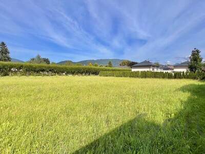 Grundstück kaufen in 5081 Anif