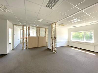 Gewerbeobjekt mieten in 5020 Salzburg