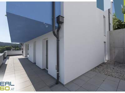 Terrassenwohnung kaufen in 4202 Kirchschlag (Bild 4)