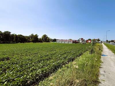 Gewerbeobjekt kaufen in 7400 Oberwart (Bild 3)