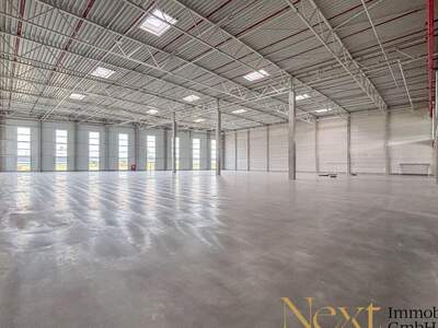 Gewerbeobjekt mieten in 4470 Enns (Bild 4)