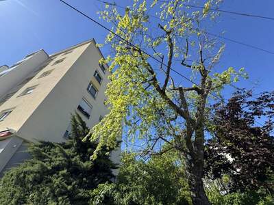 Wohnung kaufen in 1130 Wien