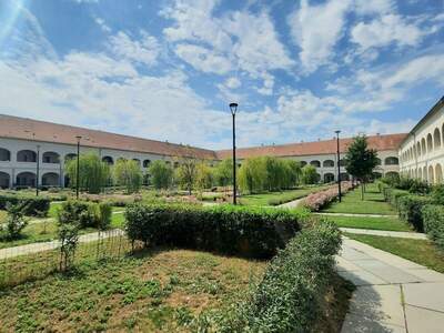 Wohnung mieten in 7100 Neusiedl (Bild 4)