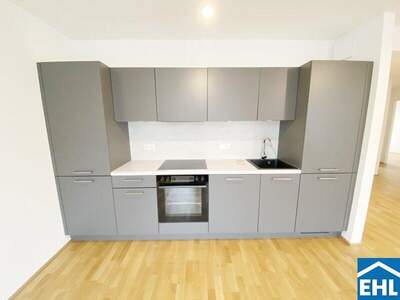 Terrassenwohnung mieten in 1110 Wien (Bild 3)