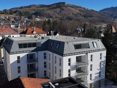 Anlageobjekt kaufen in 4560 Kirchdorf