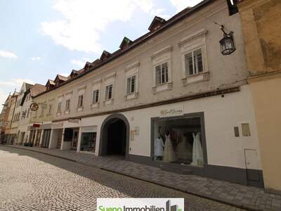 Haus kaufen in 4400 Steyr (Bild 2)