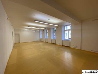 Gewerbeobjekt mieten in 1030 Wien (Bild 4)