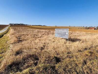 Grundstück kaufen in 7432 Oberschützen