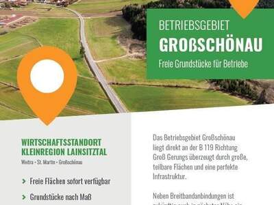 Grundstück kaufen in 3922 Großschönau