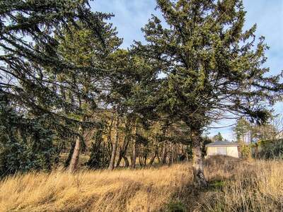 Grundstück kaufen in 1170 Wien (Bild 3)