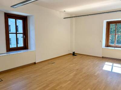 Gewerbeobjekt mieten in 1010 Wien (Bild 3)