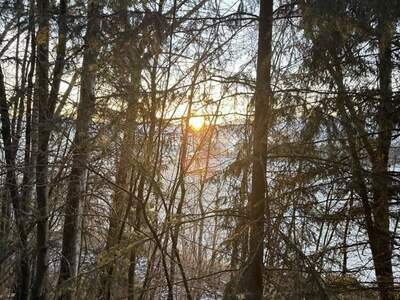 Gewerbeobjekt kaufen in 8753 Dietersdorf