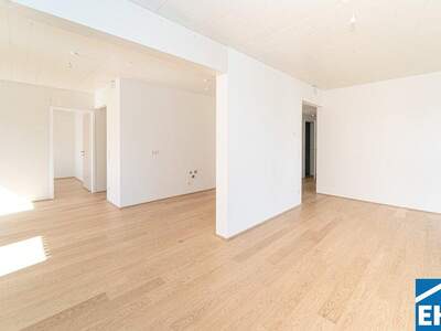 Terrassenwohnung kaufen in 2340 Mödling (Bild 4)