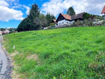 Grundstück kaufen in 8151 Berndorf (Bild 3)